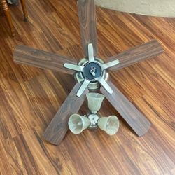 Ceiling fan