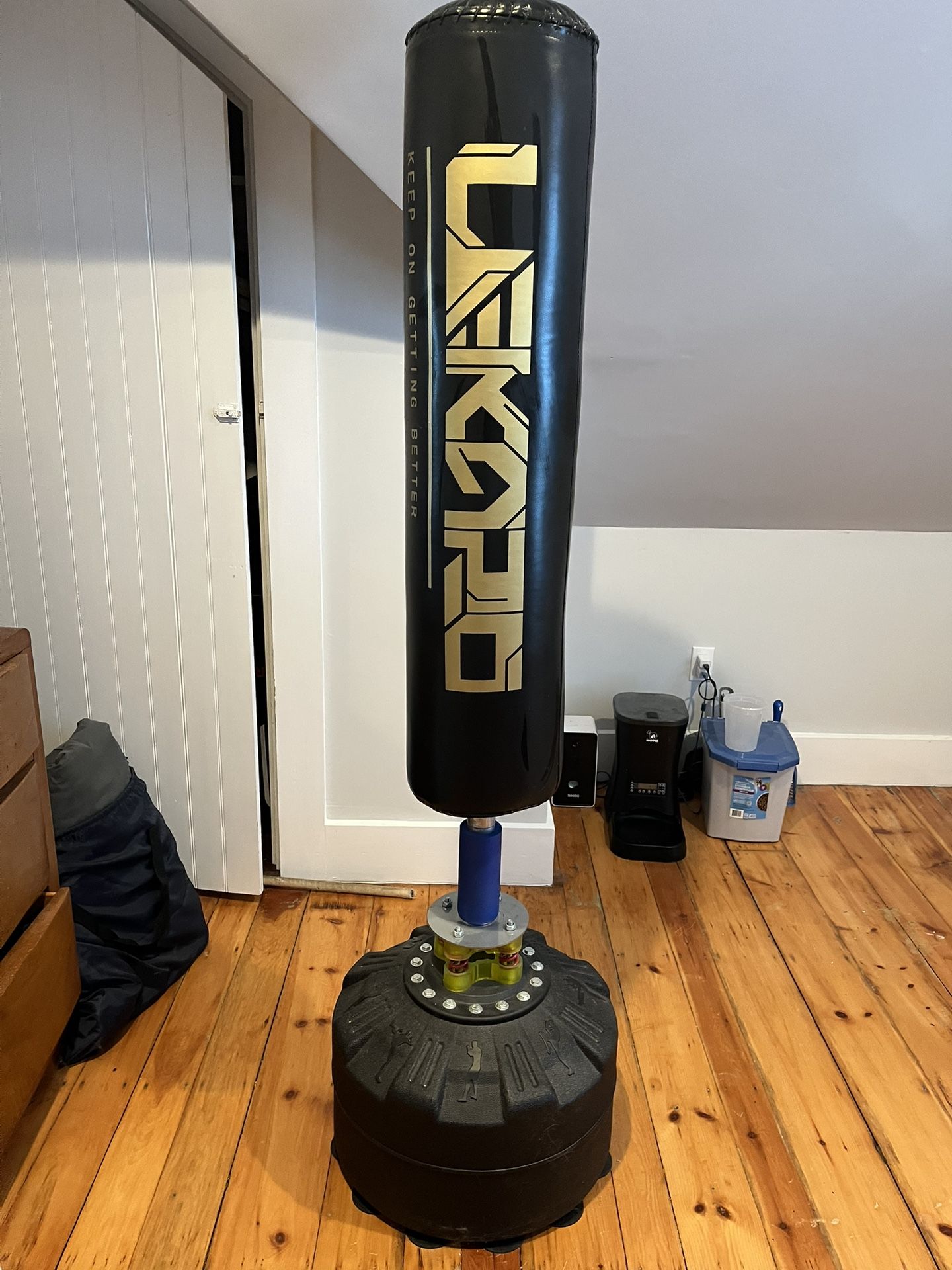 Punching Bag And Gloves