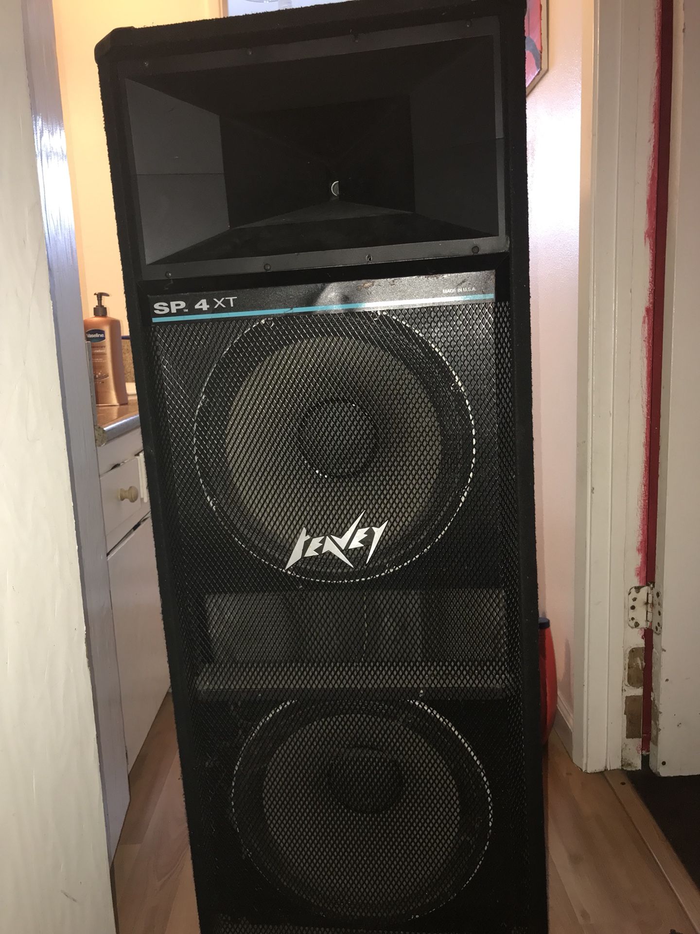 Two Speakers Peavey Sp 4 Xt