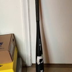 Baseball the goods bat