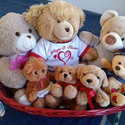 Teddy Bears With Basket Take It All For $60