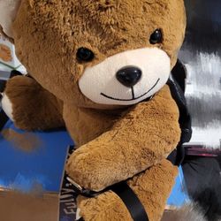 Teddy Bear Bag