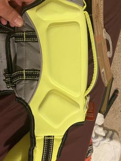 Dog Or Big Cat Life Jacket