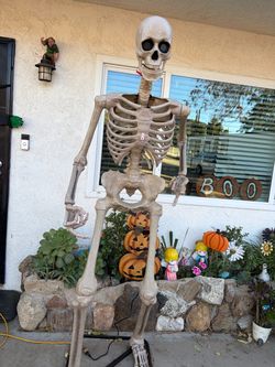 6.5 ft Skelly Halloween Skeleton Decoration