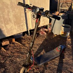 Niu electric Scooter