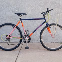 1992 Specialized Hardrock Restomod Bike
