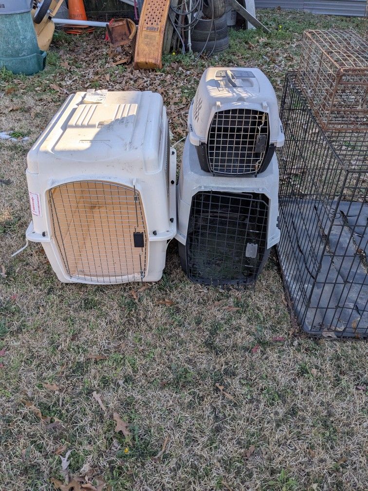 Dog Kennel