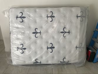 Sealy Mattress