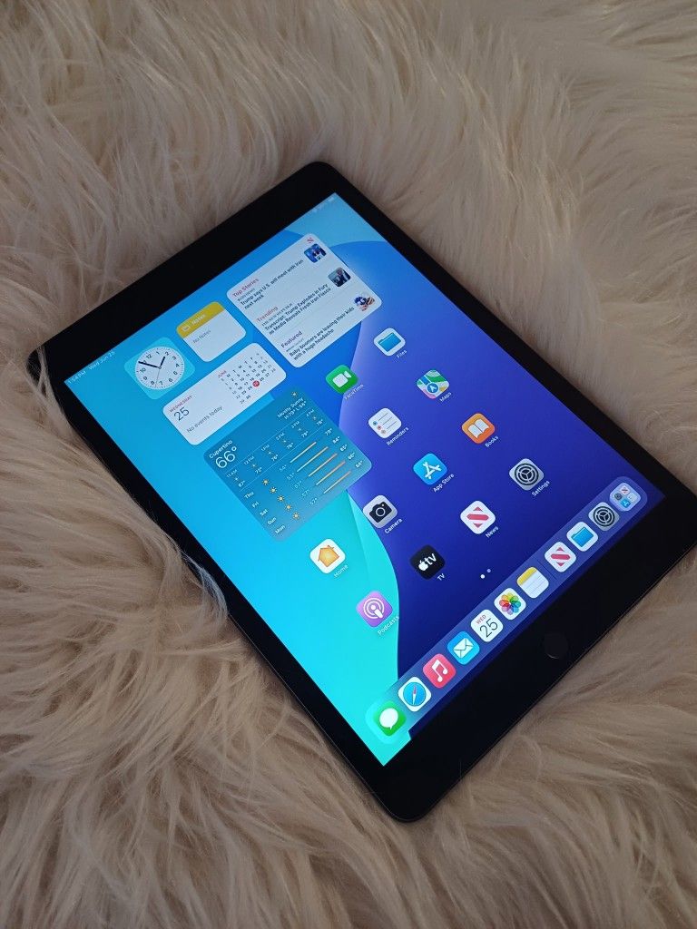 Ipad 7th Gen Mint