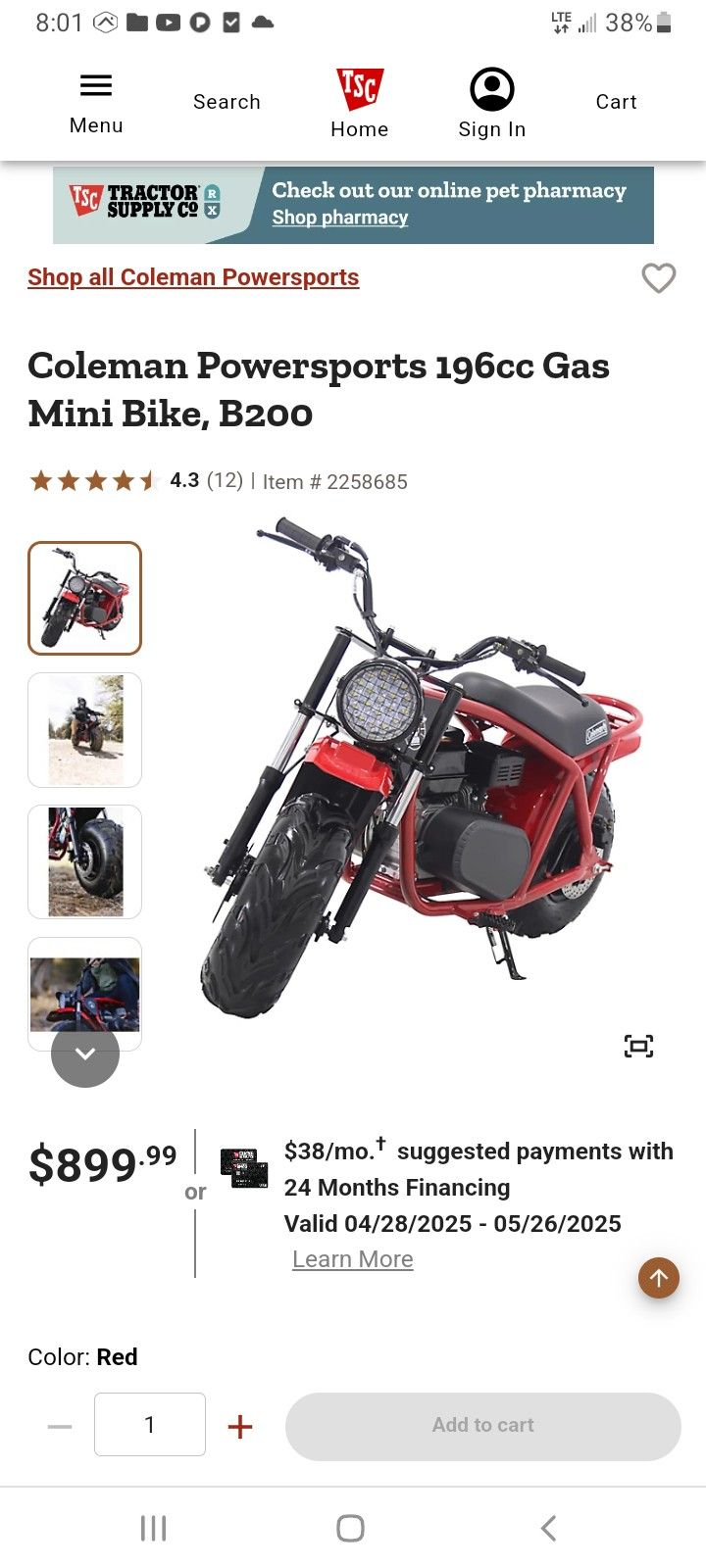 Mini Bike