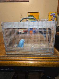 use cage