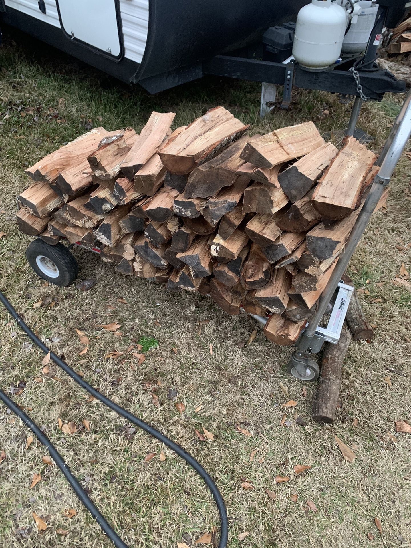 Seasoned Firewood Bundles 