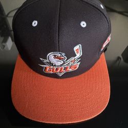 Gulls SnapBack Hat