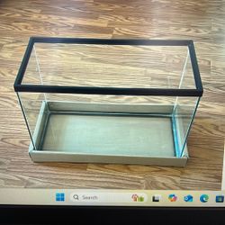 Fish Tank Or Hamster 