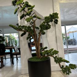 Artificial Bonsai Tree 7in Exotic Realist. 