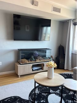 TV and TV console
