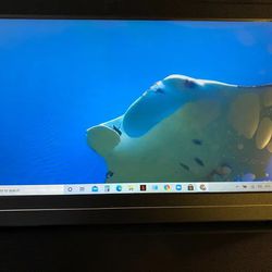 new Portable Monitor Computer Gaming for Laptop. firm price 