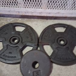 weights plates 10lbs Weider barbell pesas