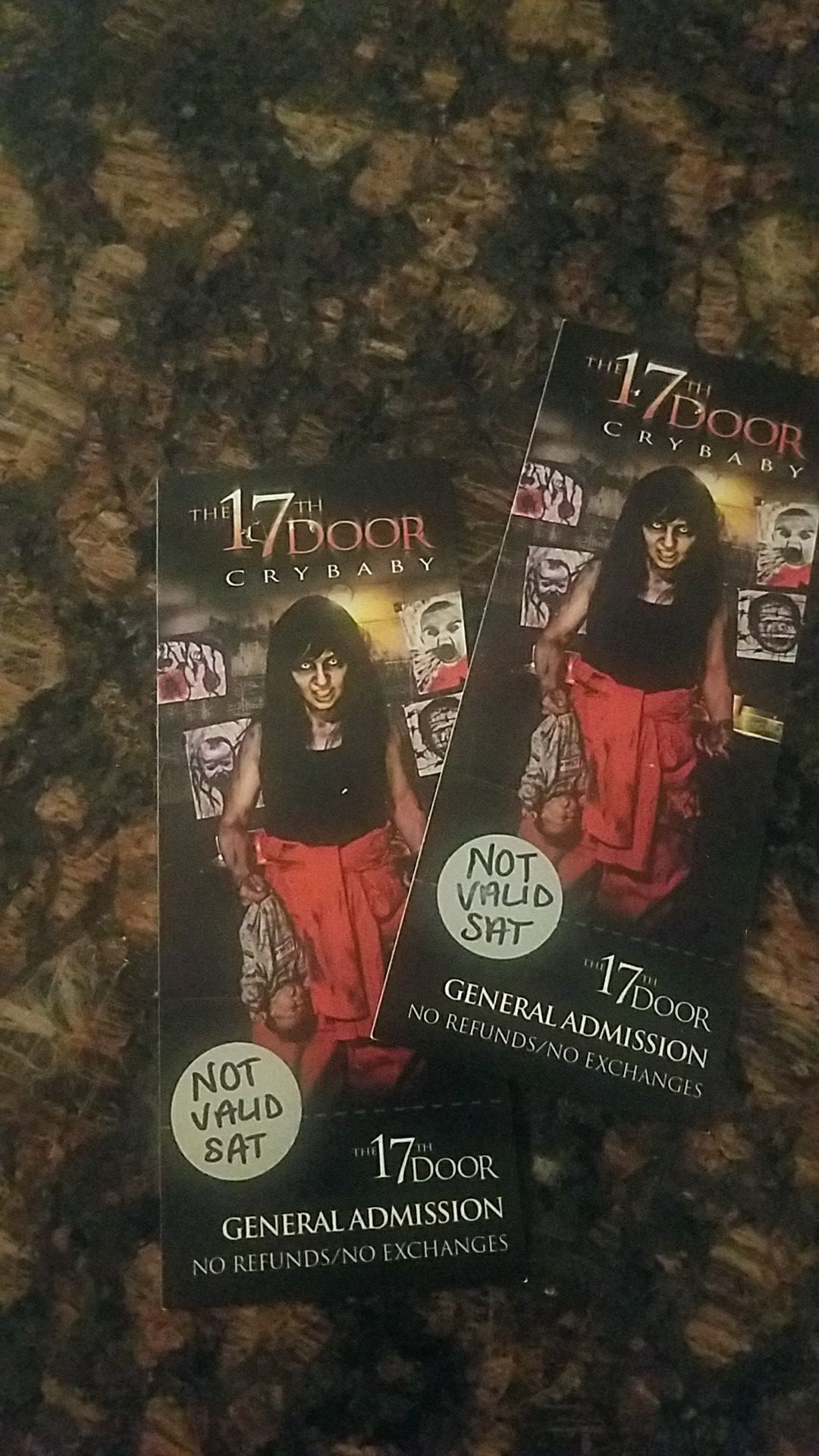 Thr 17th door haunted house tickets 2