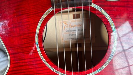 Takamine 6strings