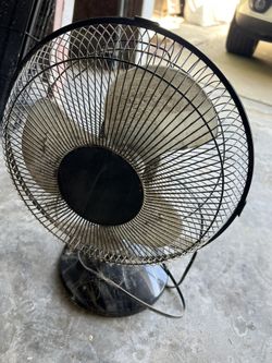 Fan