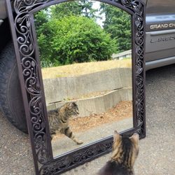Ornate Mirror