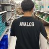 saul avalos