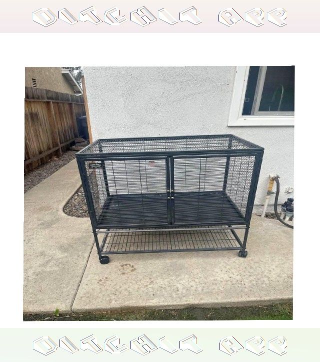 Pet Cages in Different Options to Fit Every Pet Size kind important
