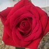 jaydee19