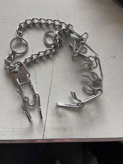 Dog training chain