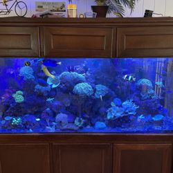 Aqua Illumination Reef Tank Lights Hydro 52 Aqua Illumination reef tank lights Hydro 52