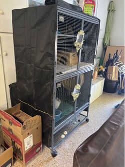 Chinchillas