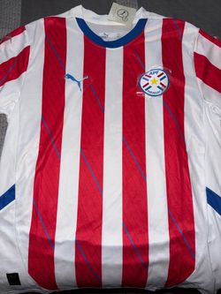 Puma Paraguay jersey