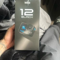 Go Pro 12 