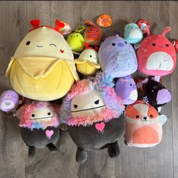 Lot of 13 Squishmallow, Various sizes