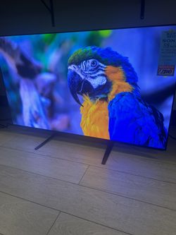 Sony 55 INCH 4K OLED 120Hz HDR10 K-55XR80M2