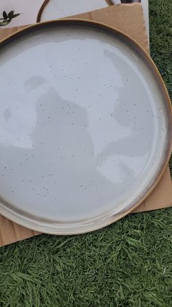 Dinner plates