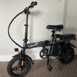 Little E-bike