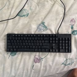 Gaming Keyboard (Mechanical Switches)