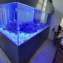 Aquarium 