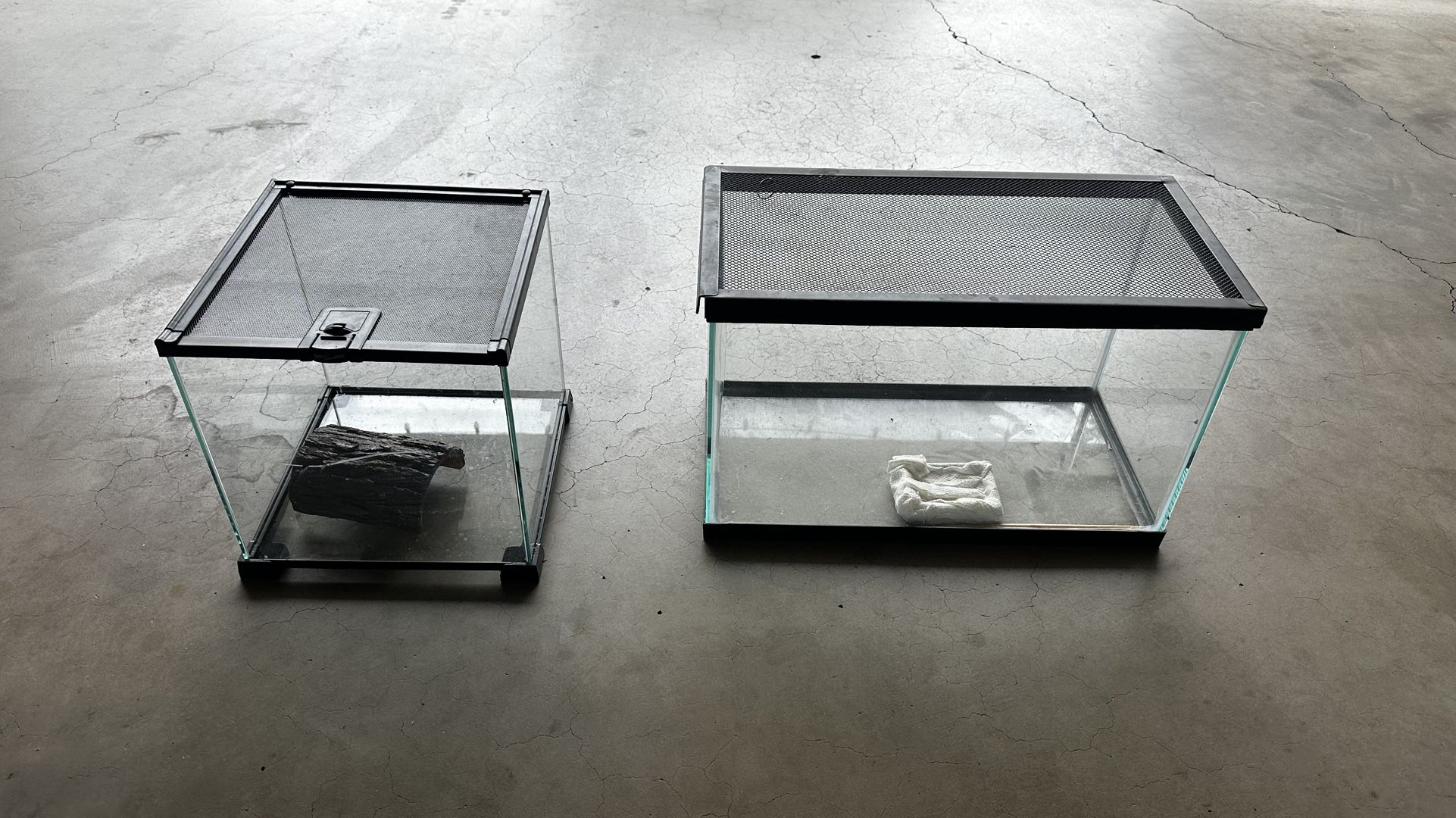 Reptile, Tarantula, Small Animal Aquariums