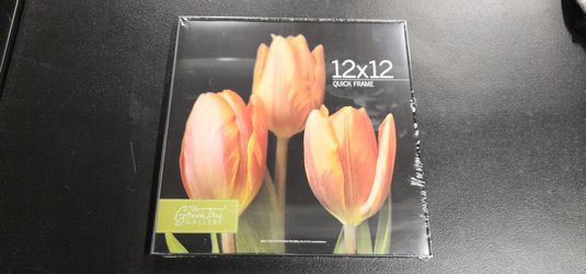 Photo Frame, 12" x 12", Set of 12
