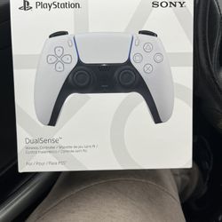 Ps5 Controller 