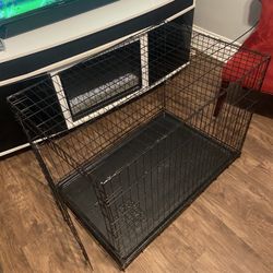 Large cage dog