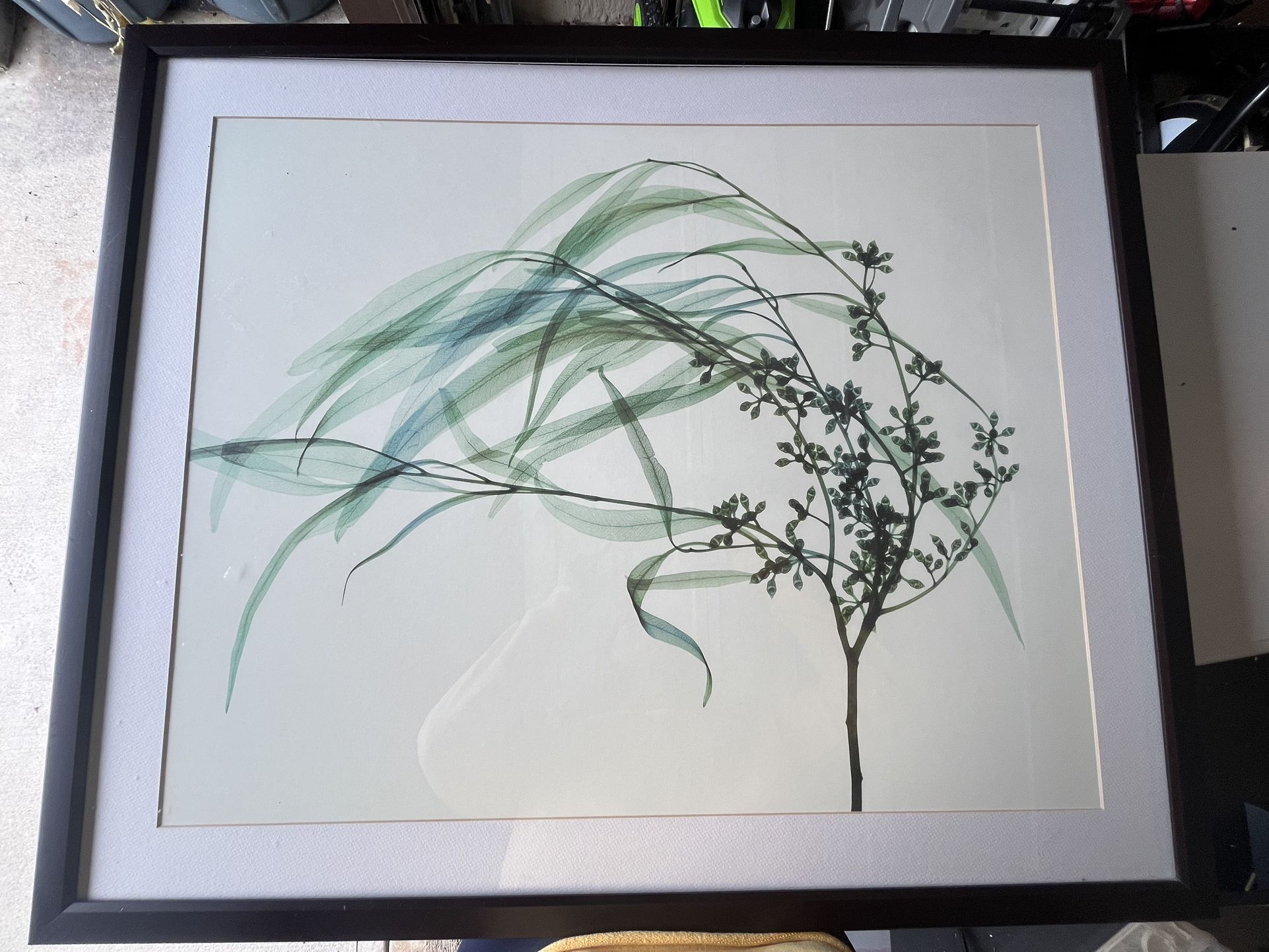 “Wind” by Steven N Meyers