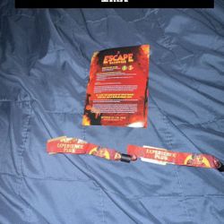 2 GA+ escape tickets both days 