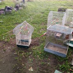 Various-sized Bird Cages