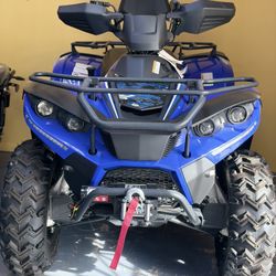 Terminator 300 EFI 4x4 ATV With Winch, Trailer Hitch Fully Equipped 