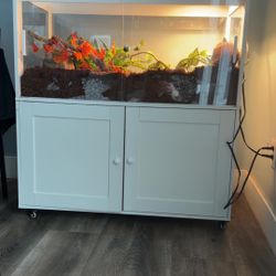 Ball Python Enclosed Like New