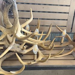 Set Antler Chandelier 